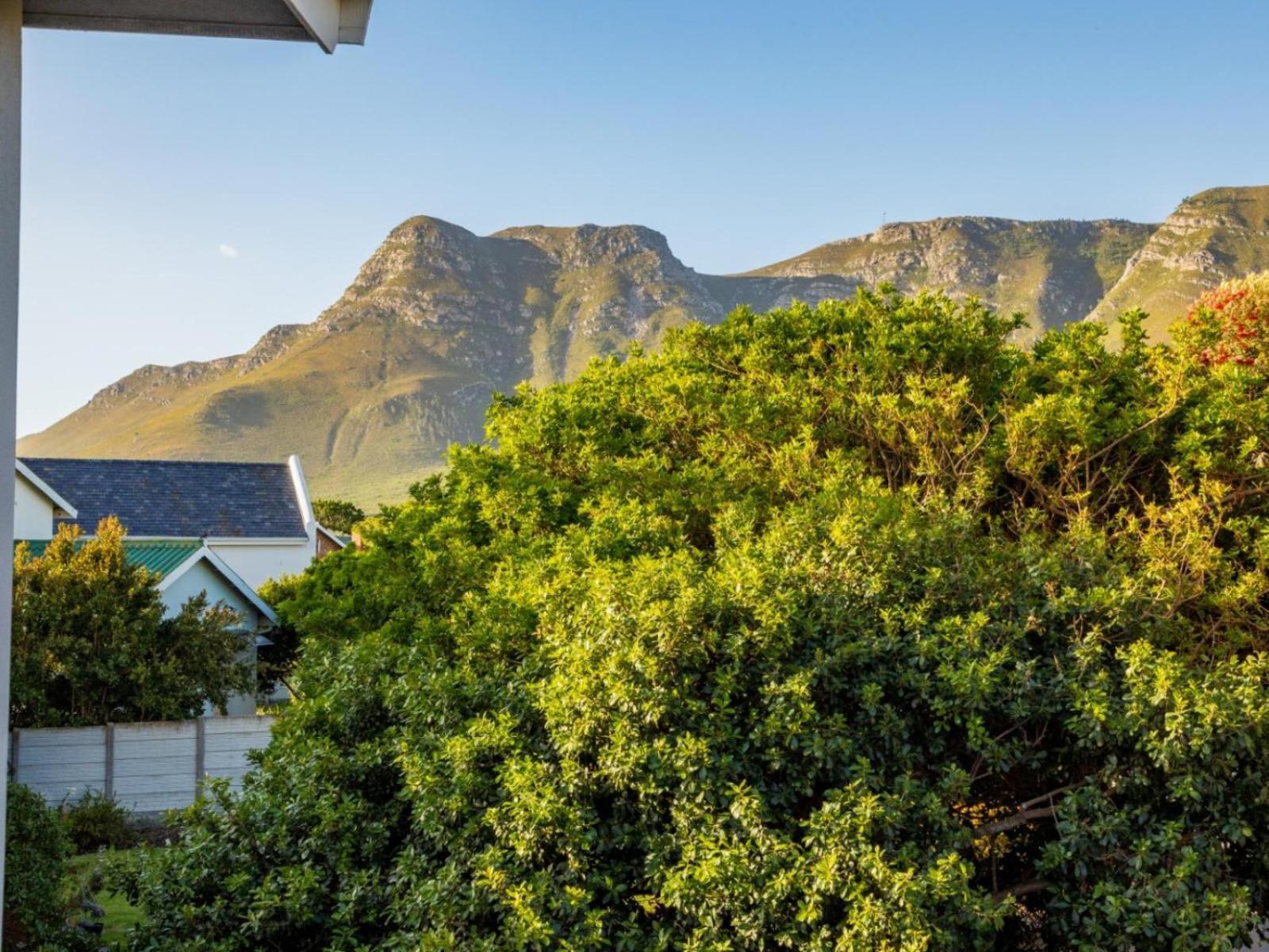 Two Palm House - Vermont Hermanus Quarto foto
